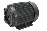 Wexten Point W5-03-1-3227 Pump Motor