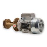 Lahntechnik Duotemp 111884 Submersible Pump Assembly
