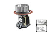 Carrier 48SS400626 Draft Inducer Motor Assembly