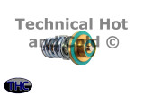 Schimpke 5000262 Thermal Expansion Valve Insert Image 2