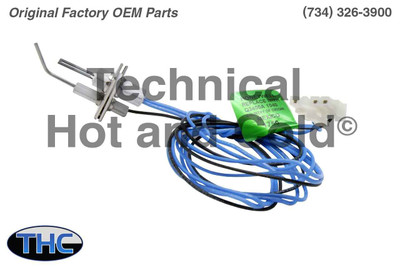 ICP 1009524 Ignitor and Flame Sensor Assembly ICP 1009524 Ignitor and Flame Sensor Assembly