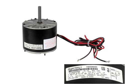 York Coleman S1-02436243000 Fan Motor Image 1