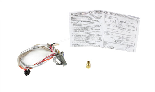 A.O. Smith 100112330 Pilot & Thermopile Assembly Image 1