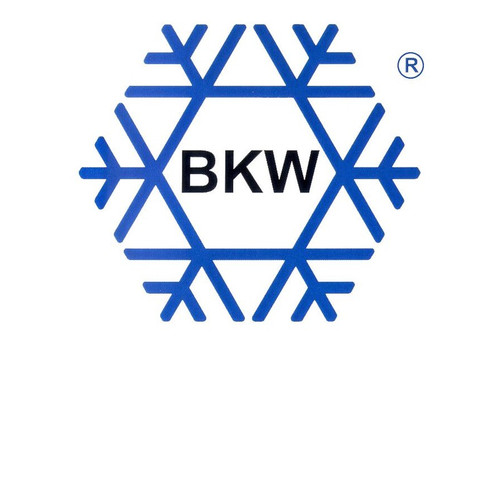 AUTO_PLACEHOLDER:BrandID(BKW) ID=45