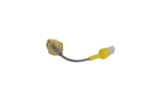 Advantage 4360096 Temperature Probe