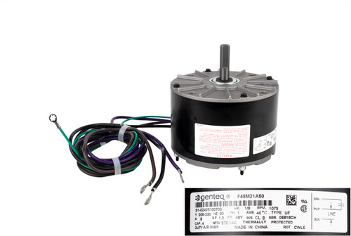 York Coleman S1-02425100700 Fan Motor Image 1
