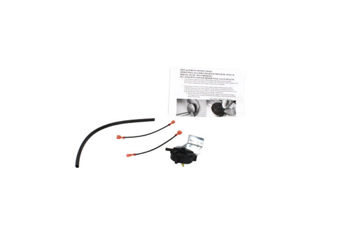 rheem-42-24196-82-switch-2