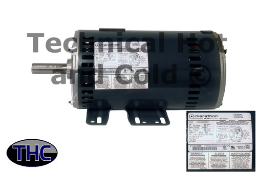 Trane MOT09801 Blower Motor Image 1
