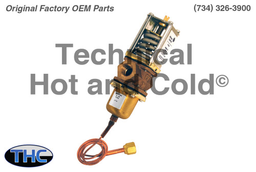 Stoelting 763181 Water Regulating Valve Image 1
