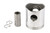 Carlyle 06DA660145 Piston and Pin Assembly Image 1