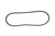 Carrier AX49 Belt Image 1