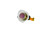 Carrier HH19ZA950 Limit Switch Image 2