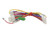 Carrier 48TMHSRADR-A00 Wiring Harness Image 2