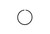 Carrier 5H46481 Ring Image 1
