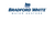 AUTO_PLACEHOLDER:BrandID(Bradford White) ID=51