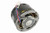 Goodman Amana 0131M00747M ECM Blower Motor w/o Module Image 2