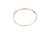 nVent 99054030SP Capillary Tube