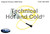 Carrier 48DP500613 Flame Sensor Image 1