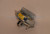 Carrier HK06NB118 Pressure Switch Image 2