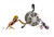 Lennox 60L21 Blower Motor Image 2