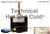 Lennox 79J81 Fan Motor Image 1