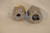 Schimpke 5220460 Pump Coupler Image 2