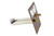 York Coleman S1-02529041003 Limit Switch Image 1