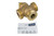Lahntechnik Duotemp 111386 Mixing Valve Image 2
