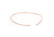 nVent 99042020SP Capillary Tube 0.042 ID X 20 Image 1