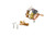ICP 1177317 Thermal Expansion Valve Image 1