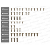 IF18 TITANIUM SCREW SET (LOWER)