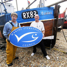 The Importance of MSC Certified Fish Oils