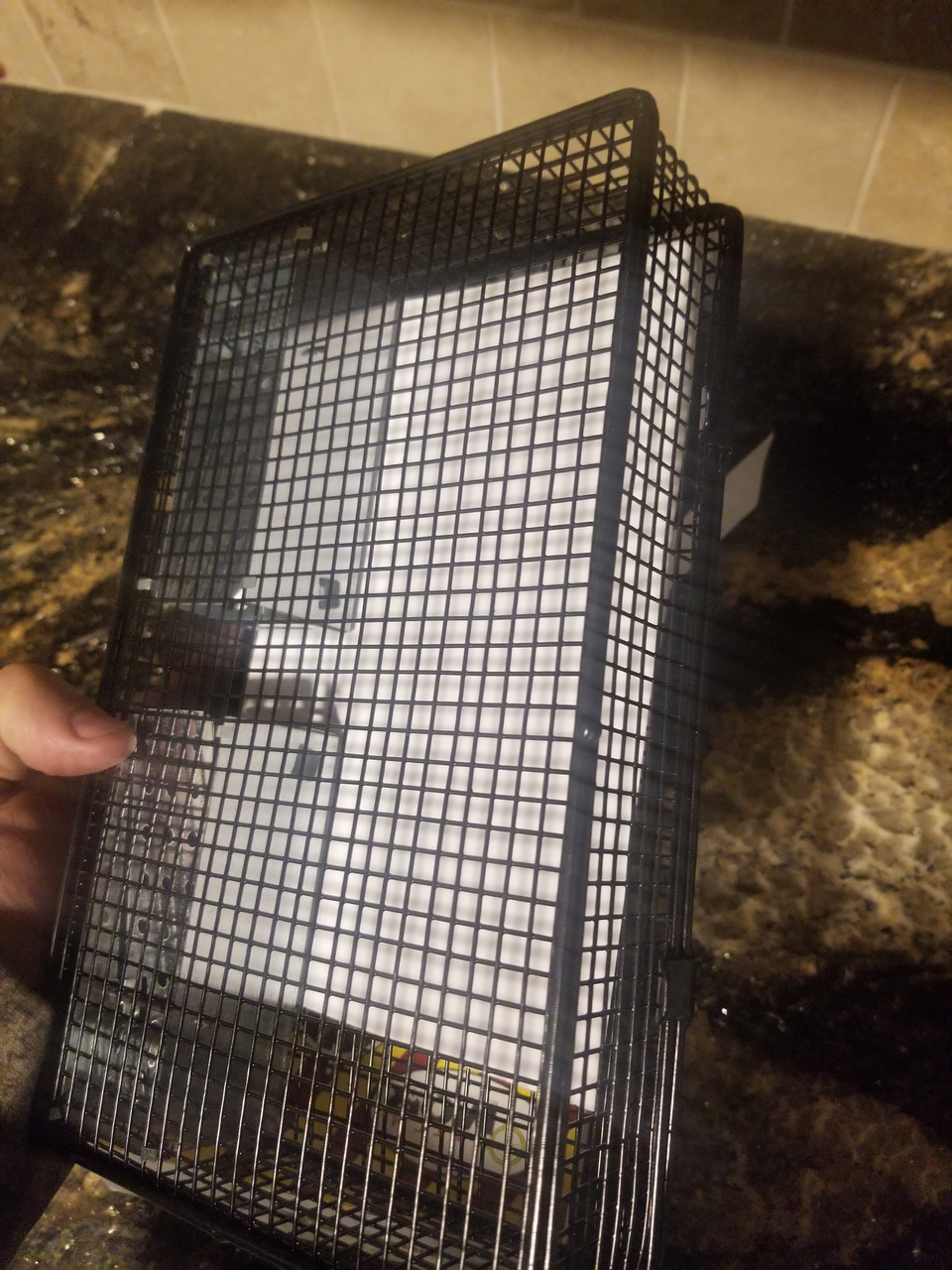 Rugged Ranch Rattr Ratinator Live Rat Squirrel Chipmunk Metal 2 Door Trap Cage