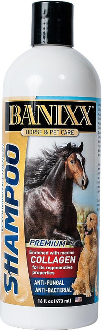 Introducing our Medicated Pet Shampoo & Conditioner, ultra-enriched with moisturizing Marine Collagen; a safe, effective skin treatment for all horses and dogs!! in the recovery of multiple fungal & bacterial skin conditions such as:

• Rain Rot (Rain Scald)
• Scratches
• Dog Skin Yeast Infections/Dry, Itchy Skin 
•Dog Ringworm 
• Girth, Mane, Tail Itch (Sweet Itch) 
• Cannon Keratosis (Cannon Bone Crud)
• Itchy, Scaly, Crusty, Dry Dog Skin Issues
• Dog Dandruff, Dog Dermatitis