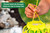 RESCUE! TrapStik for Wasps, Mud Daubers, Carpenter Bees - 3 Pack