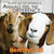 HealthyCoat Feed Supplement for GOATS -  1 Gallon