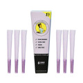 Blazy Susan Purple Cones 1PK 1-14