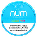 NUM Nicotine Pouches - 5PK Miami Mint - 12MG