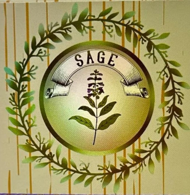 SAGE - 6CT DISPLAY LAVENDER