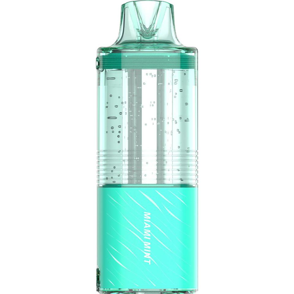 Fogest XP 40K Puff Disposable MIAMI MINT