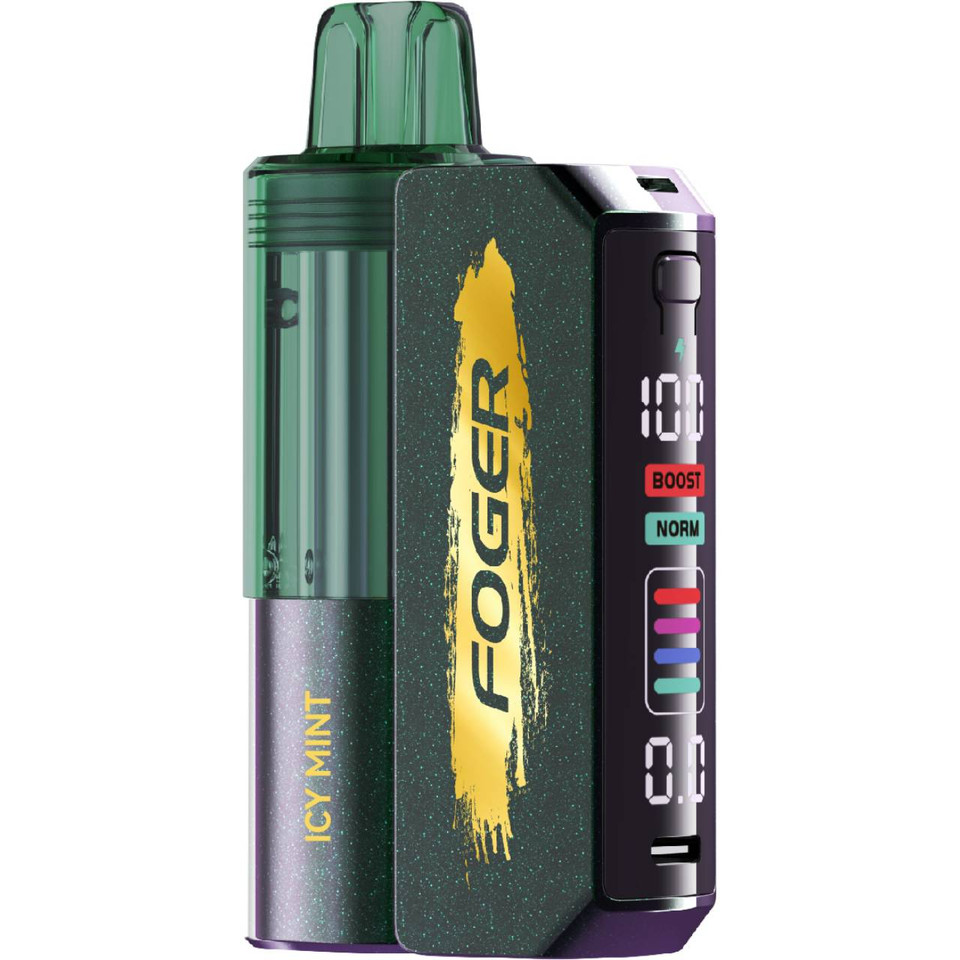 Foger Switch Pro 30K Puff Disposable Icy Mint