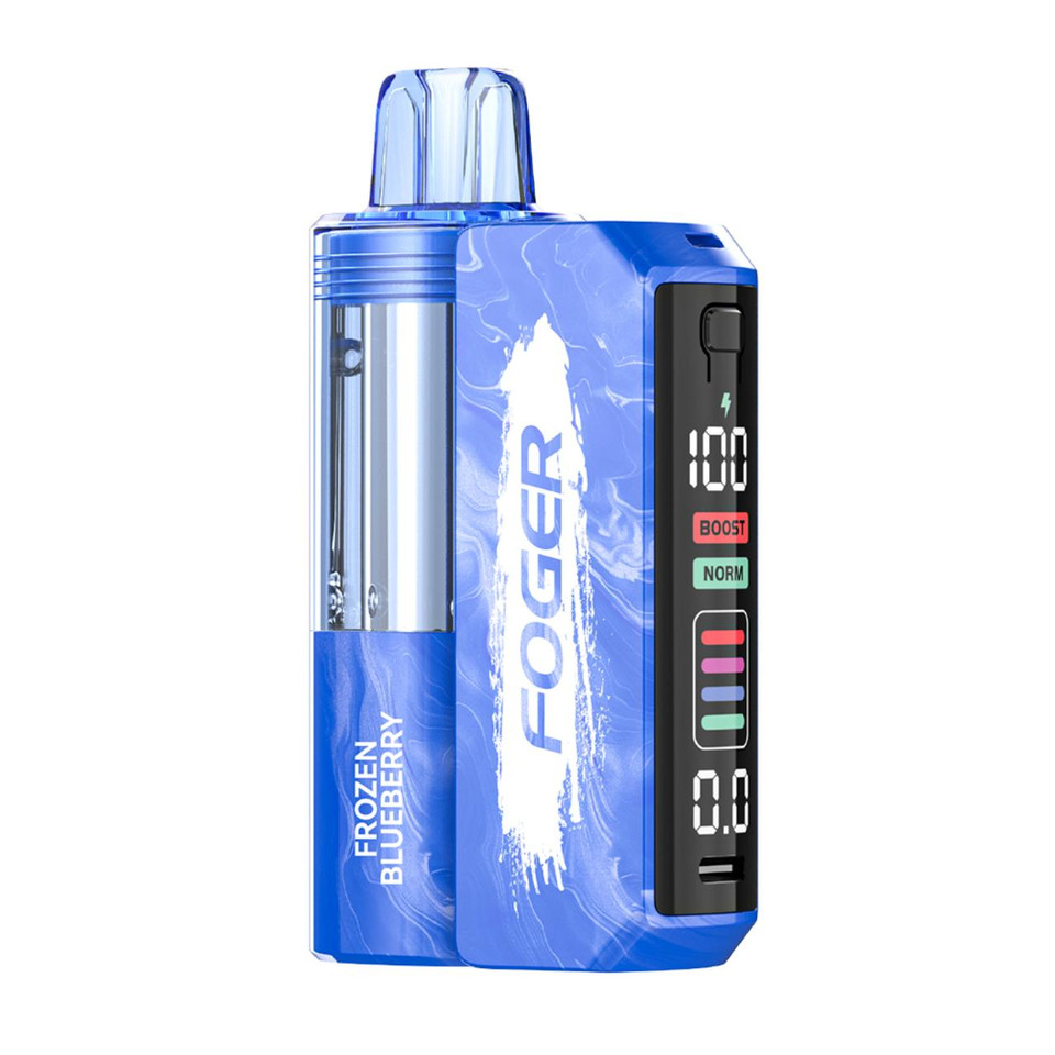 Foger Switch Pro 30K Puff Disposable-Frozen Blueberry