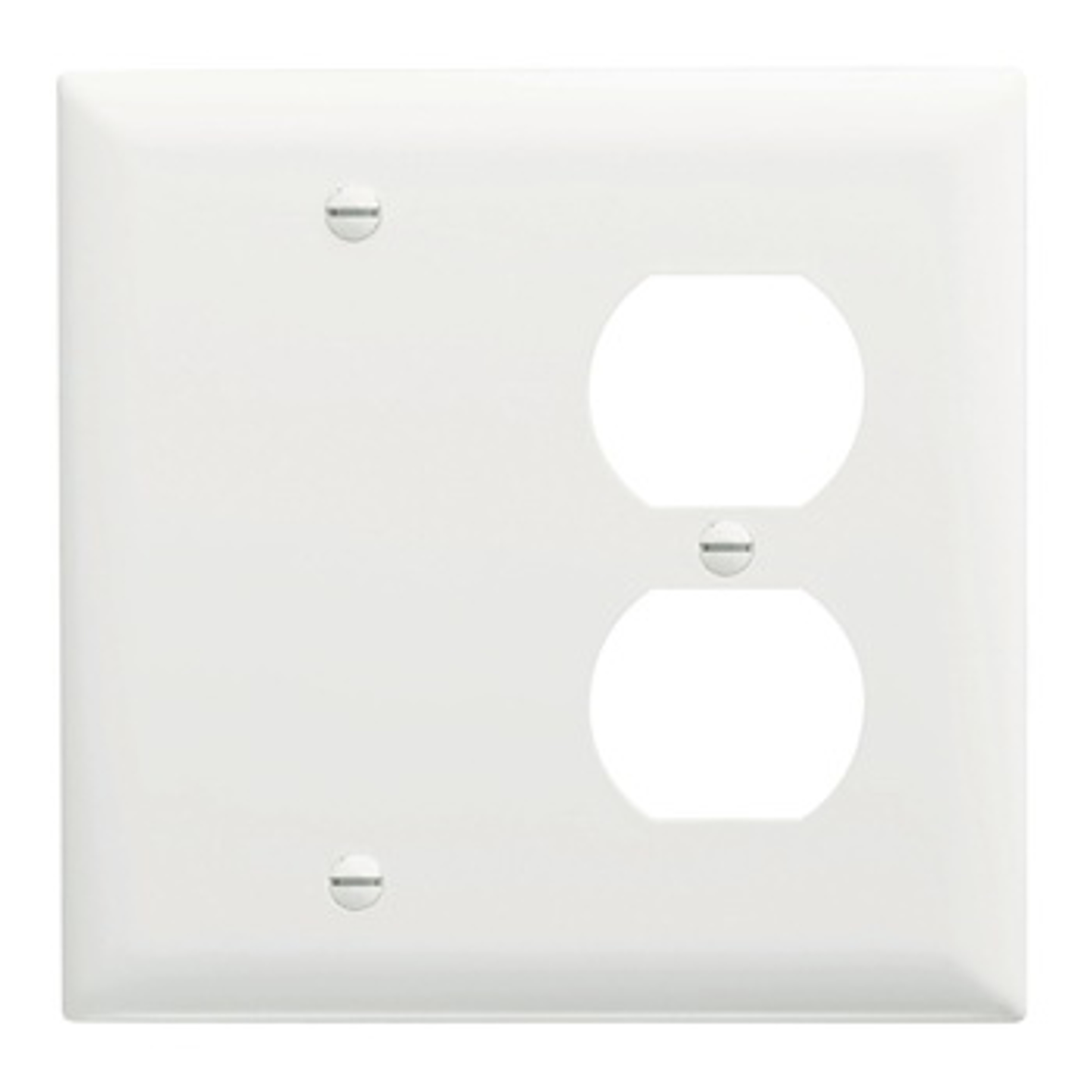 Pass & Seymour TP138W Combination Wallplate, 5-1/2 in, 2 -Gang, Nylon, White