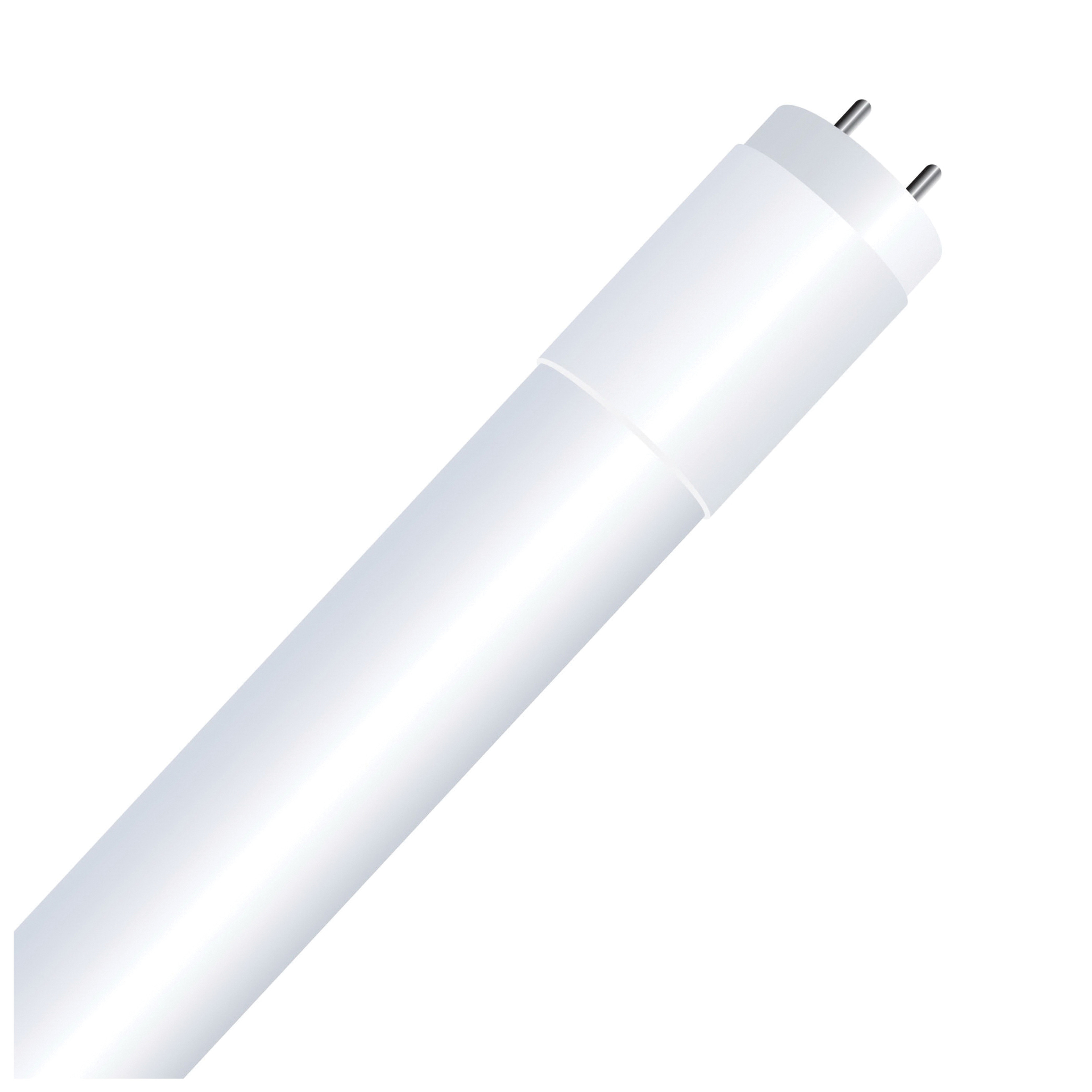 Feit Electric T36/850/LEDG2 Plug and Play LED Light Bulb, Linear, 1500 Lumens, 12 W, T8 Lamp, 125 W Equivalent, Frosted