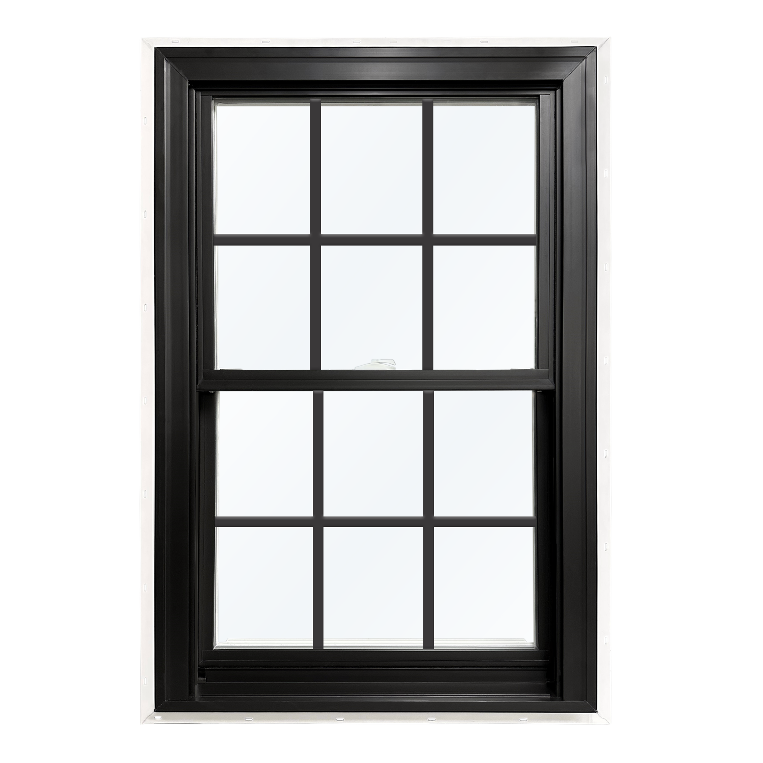 United Windows5900 Series Windows double hung black and white