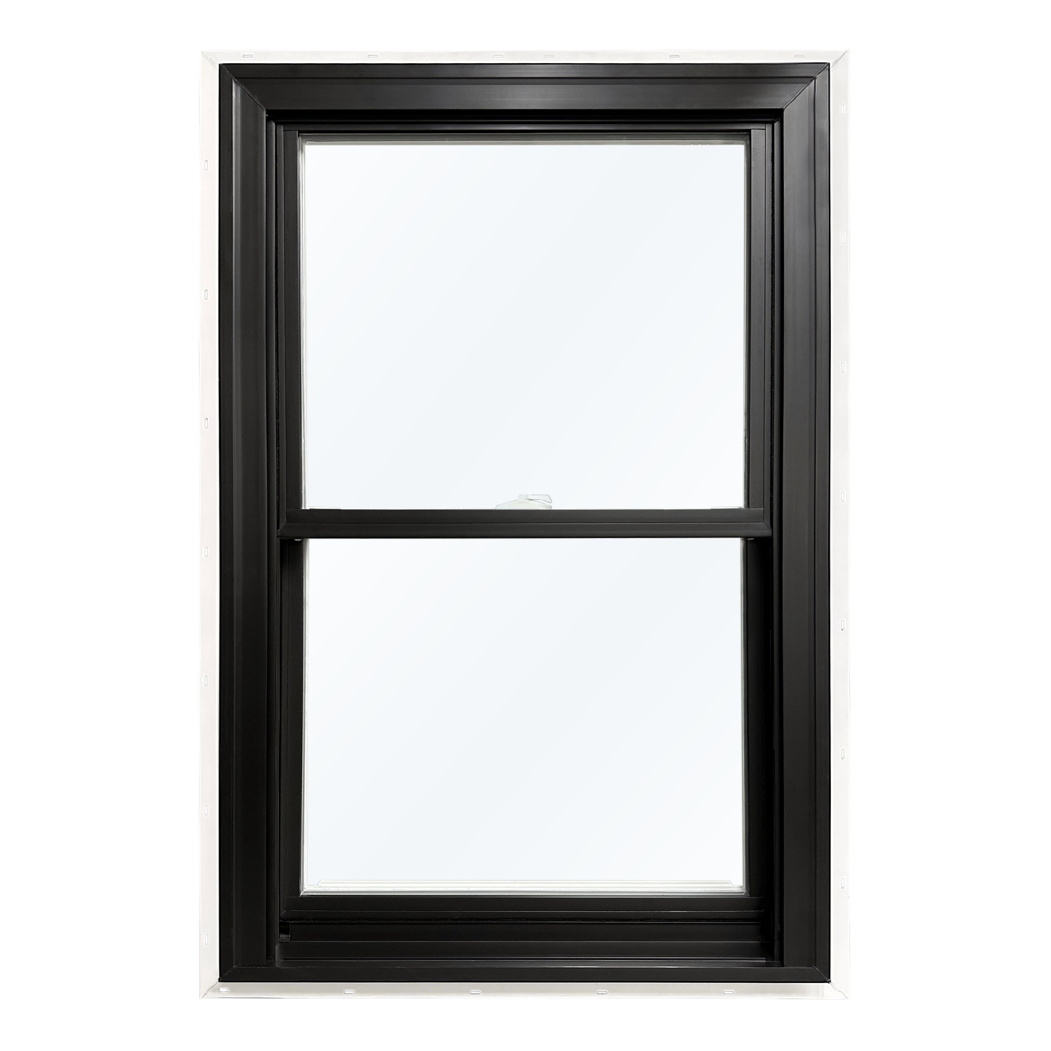 United Windows5900 Series Windows double hung black and white