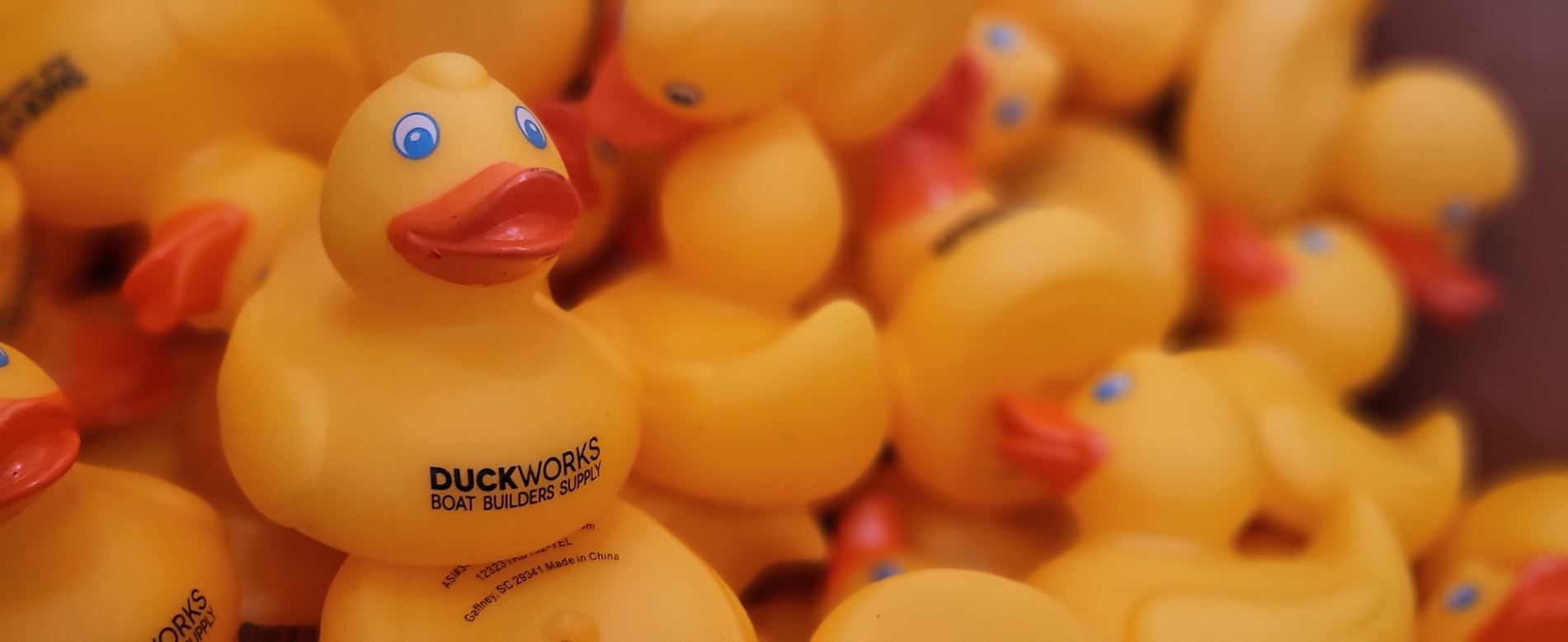 Black Friday DUCK DEALS are here!