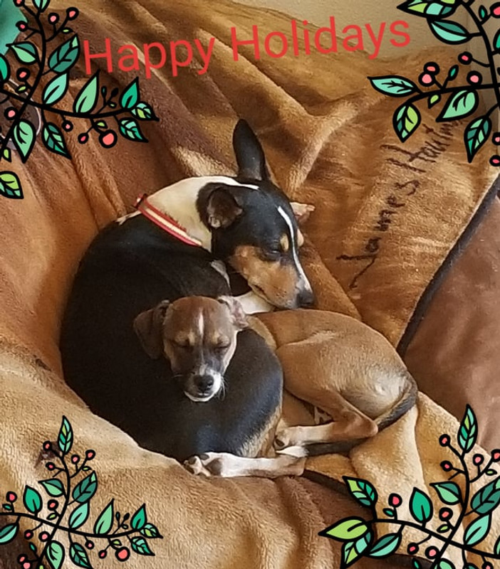 Happy Holidays