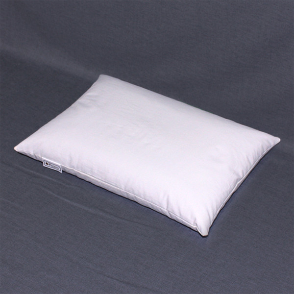 16 x 11 Travel / Child's Buckwheat Hull Pillow with no cover