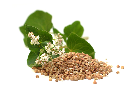 buckwheat-seeds.jpg